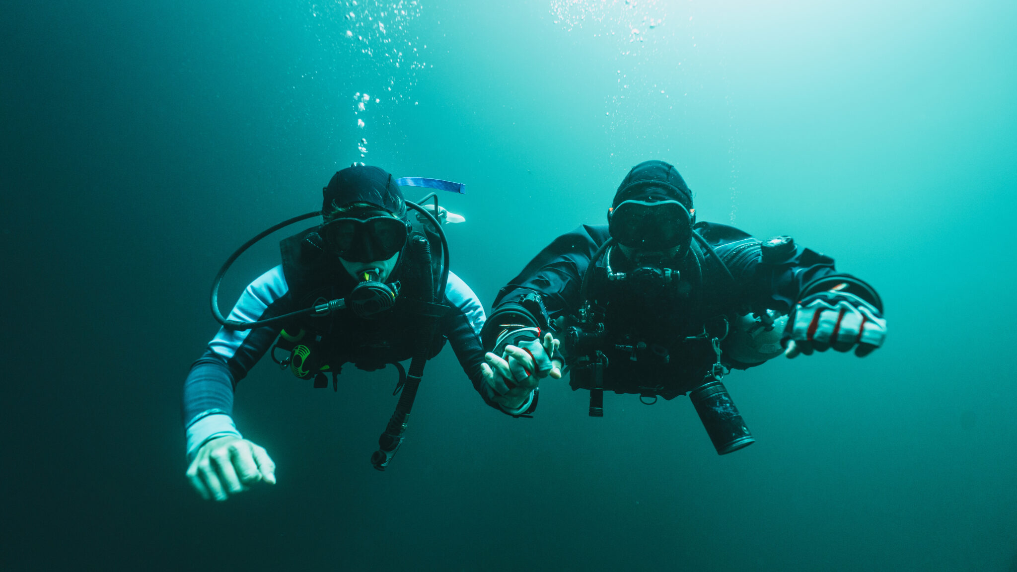 what-is-a-buddy-when-scuba-diving-or-freediving-divertown